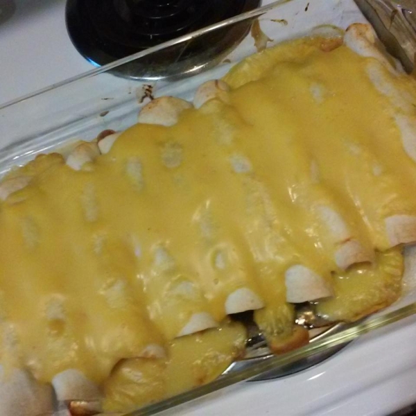 Quick Chicken Enchiladas