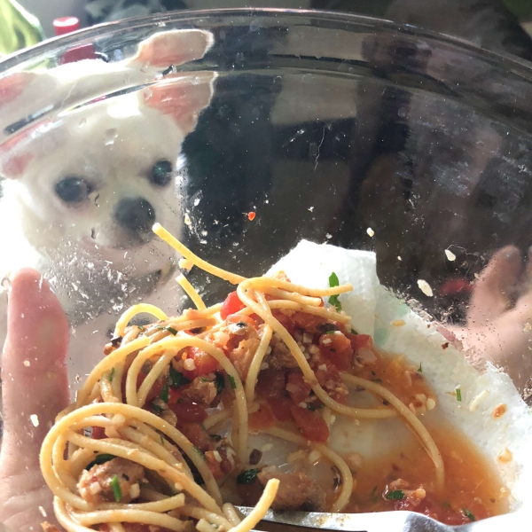 Pasta Con Sarde (Pasta with Sardines)