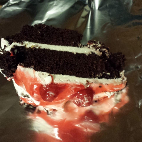 Chocolate Mayo Cake