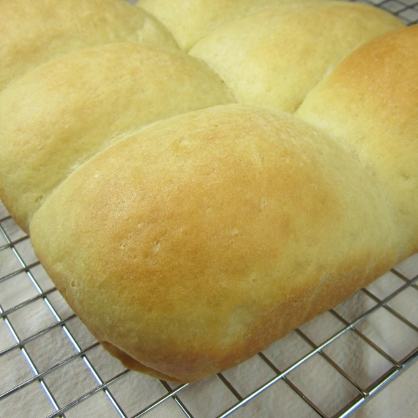 Soft No-Knead Dinner Rolls