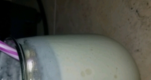 Lela's Protein Mango Smoothie