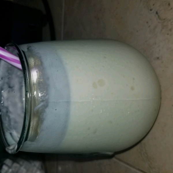 Lela's Protein Mango Smoothie
