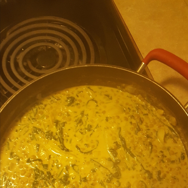 Indian Dahl with Spinach