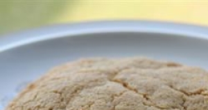 Molasses Cookies IV