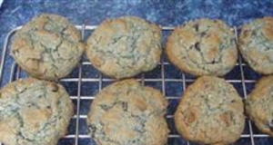 Blueberry Oatmeal Chocolate Chip Cookies