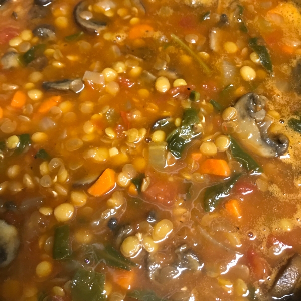 Hungarian Lentil Soup