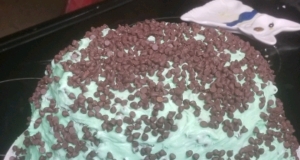 Mint Buttercream Frosting With Dark Chocolate Glaze