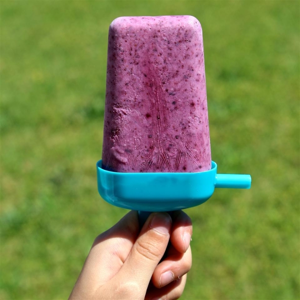 Blueberry Yogurt Pops