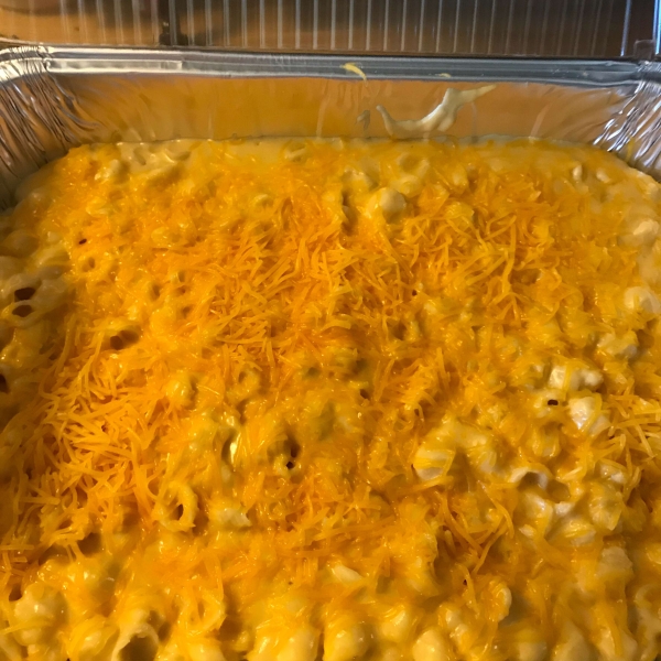 Creamy Macaroni and Cheese