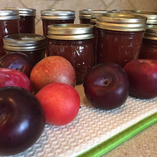 Plum Chipotle Sauce