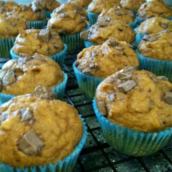 Light Pumpkin Chocolate Chip Muffins