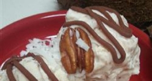 Toasted Coconut Ice Cream