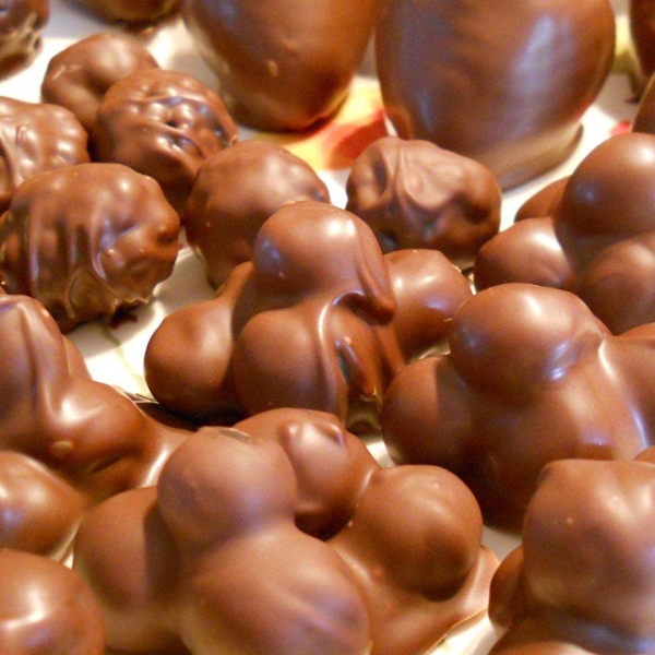 Chocolate Covered Blueberries