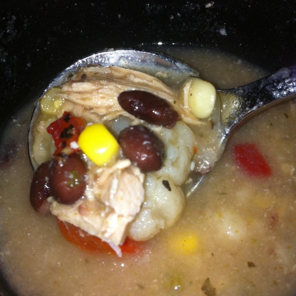 Low-Carb Mexican Chicken Soup