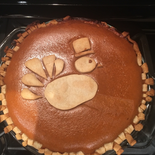 Pumpkin Pie III