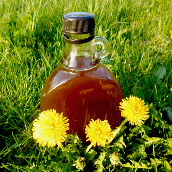 Dandelion Syrup