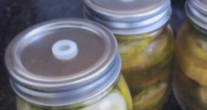 Spicy Refrigerator Dill Pickles