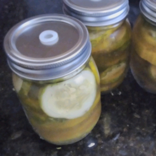 Spicy Refrigerator Dill Pickles