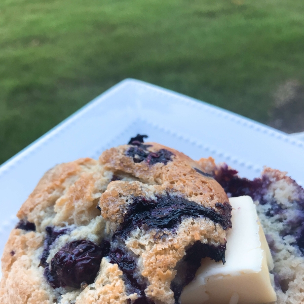 Jumbo Sour Cream Blueberry Muffins