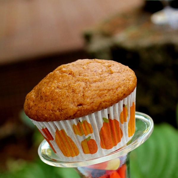 Decadent Pumpkin Muffins