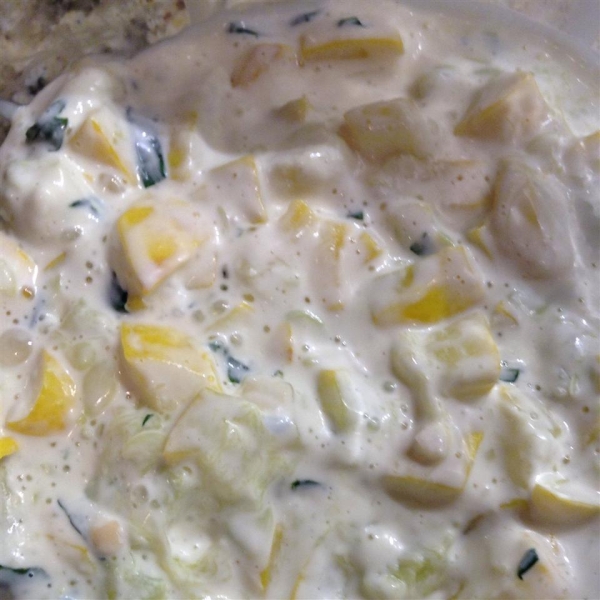 Cream Cheese Basil Summer Squash