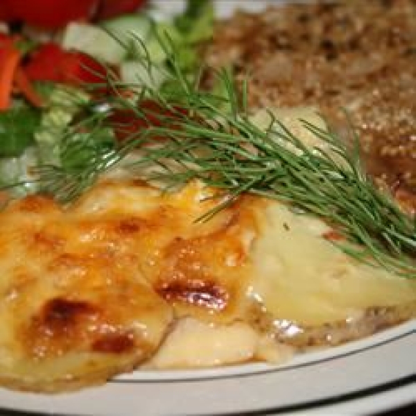 Potatoes Au Gratin with Fennel and Bacon