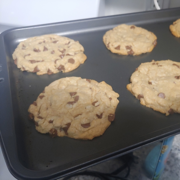 Best Big, Fat, Chewy Chocolate Chip Cookie