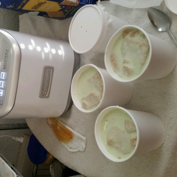 Truly Key Lime Pie Ice Cream