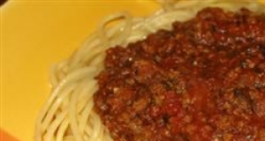 Vibration Spaghetti Sauce