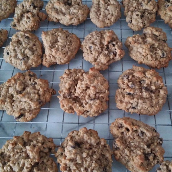 Oatmeal Raisin Cookies VI