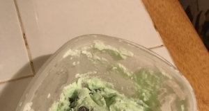 Easy Mint Chocolate Chip Ice Cream
