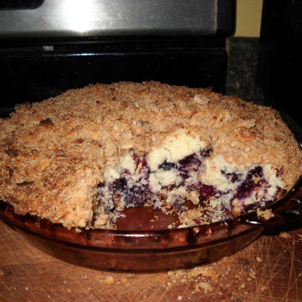 Toasted Coconut-Topped Blueberry Cake