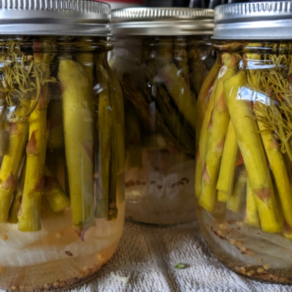 Pickled Asparagus