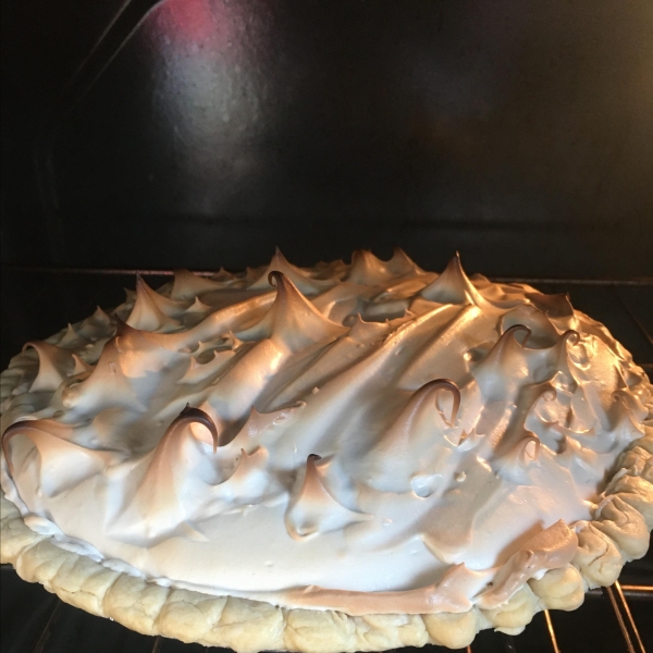 Sour Cream Raisin Pie V