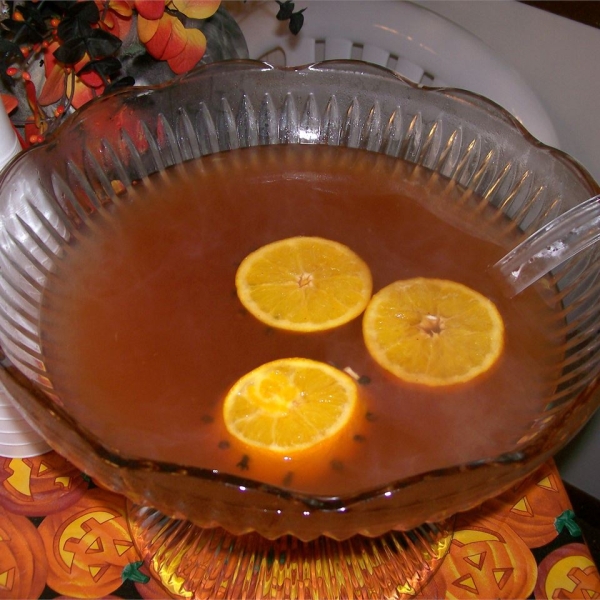 Warm and Spicy Autumn Punch