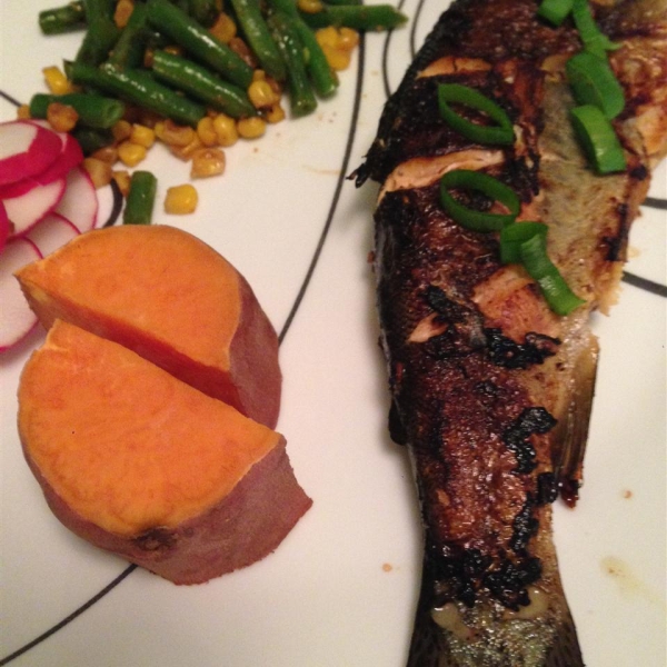 Asian Rainbow Trout