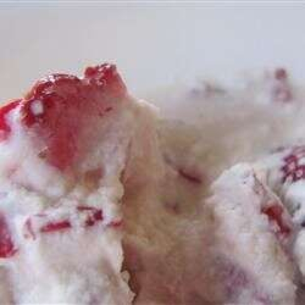 Fresh Fruit Ice Cream in a Baggie