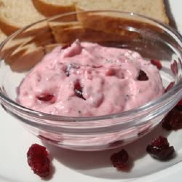 Cranberry Poppy Seed Mayonnaise