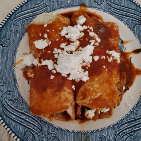 Butternut Squash Enchiladas