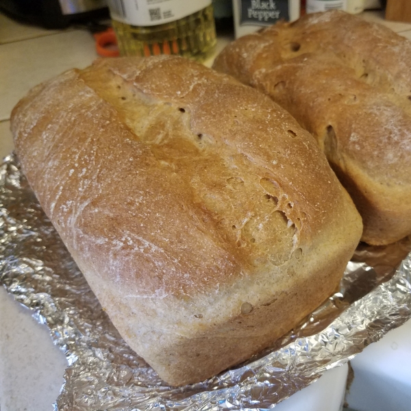 Classic Whole Wheat Bread