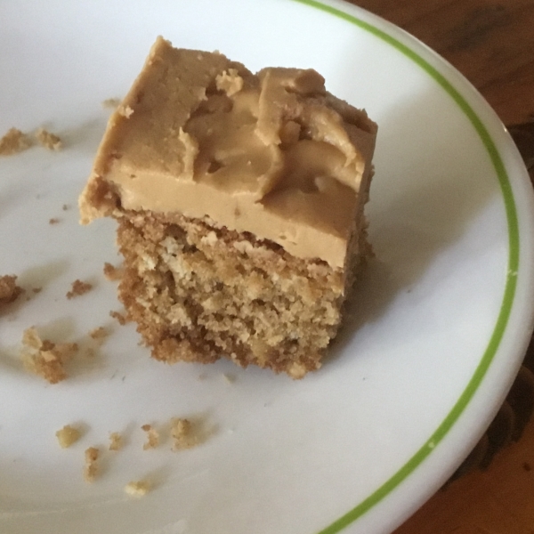 Oatmeal Chocolate Goodness Bars