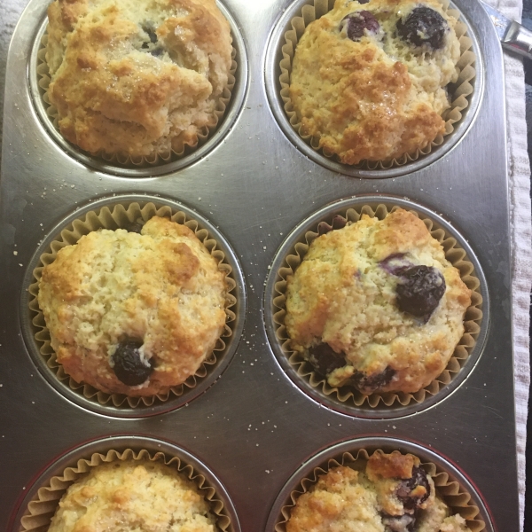 Breakfast Muffins