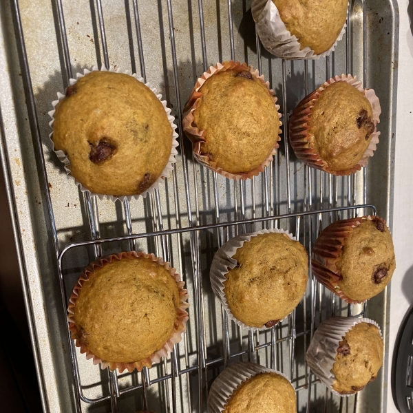 Pumpkin Chocolate Chip Muffins