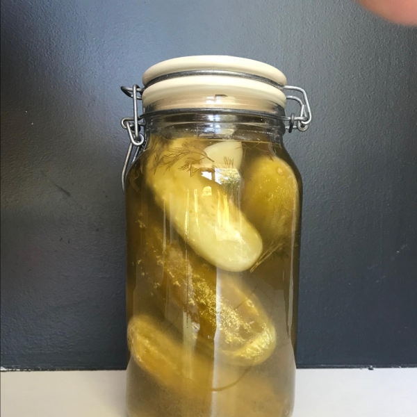 Homemade Dill Pickles