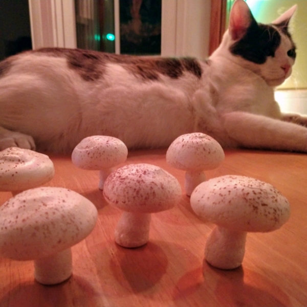 Meringue Mushrooms