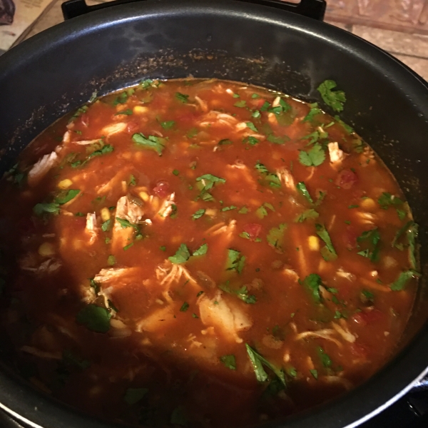 Slow Cooker Chicken Enchilada Soup