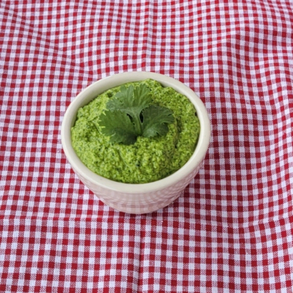 Cilantro Jalapeno Pesto with Lime