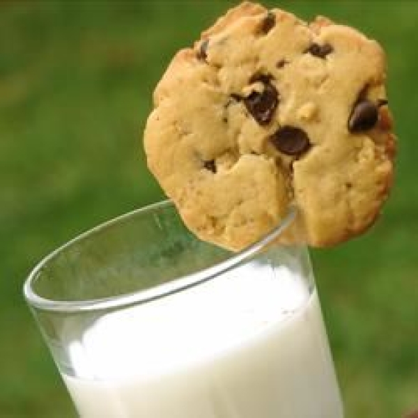 Best Chocolate Chippers