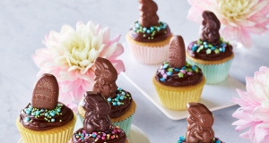 Ghirardelli Chocolate Frosted Cupcakes