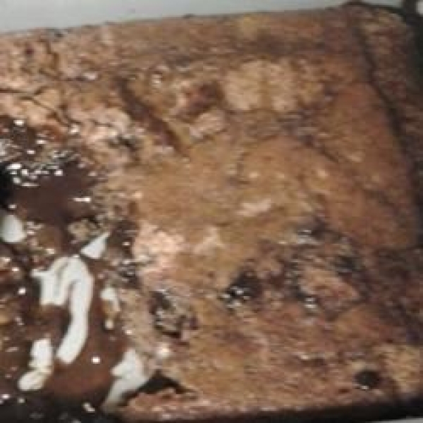 Hot Fudge Pudding Cake III